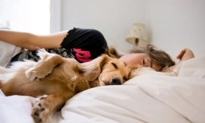 Co-Sleeping With Your Dog